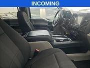 Ford F-150 XL SuperCrew 5.5-ft. Bed 2WD 2019