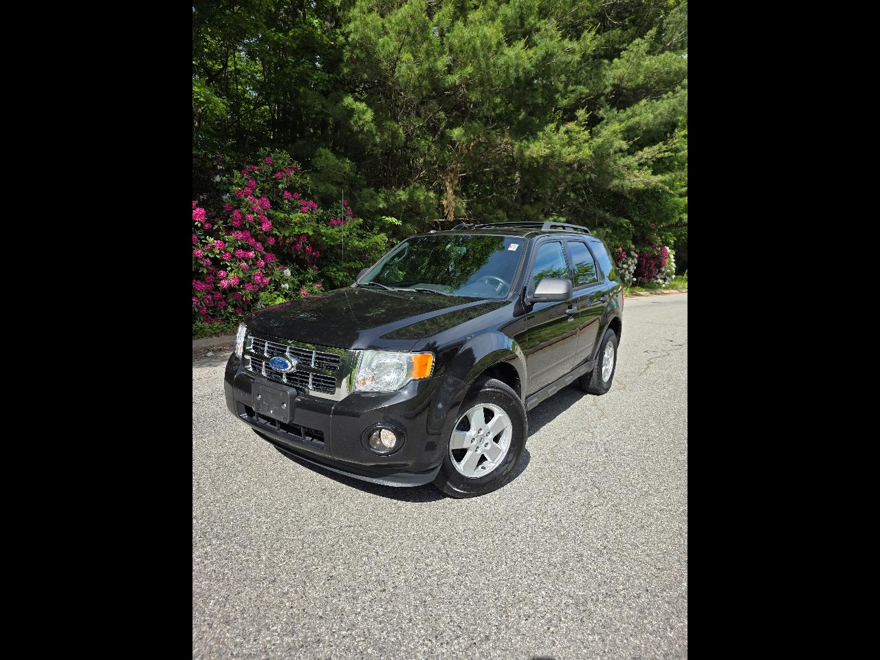 2011 Ford Escape XLT 4WD