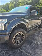 2016 Ford 1/2 Ton Trucks 