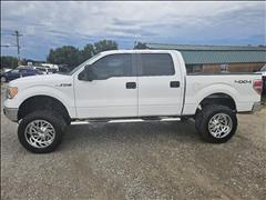 2013 Ford 1/2 Ton 