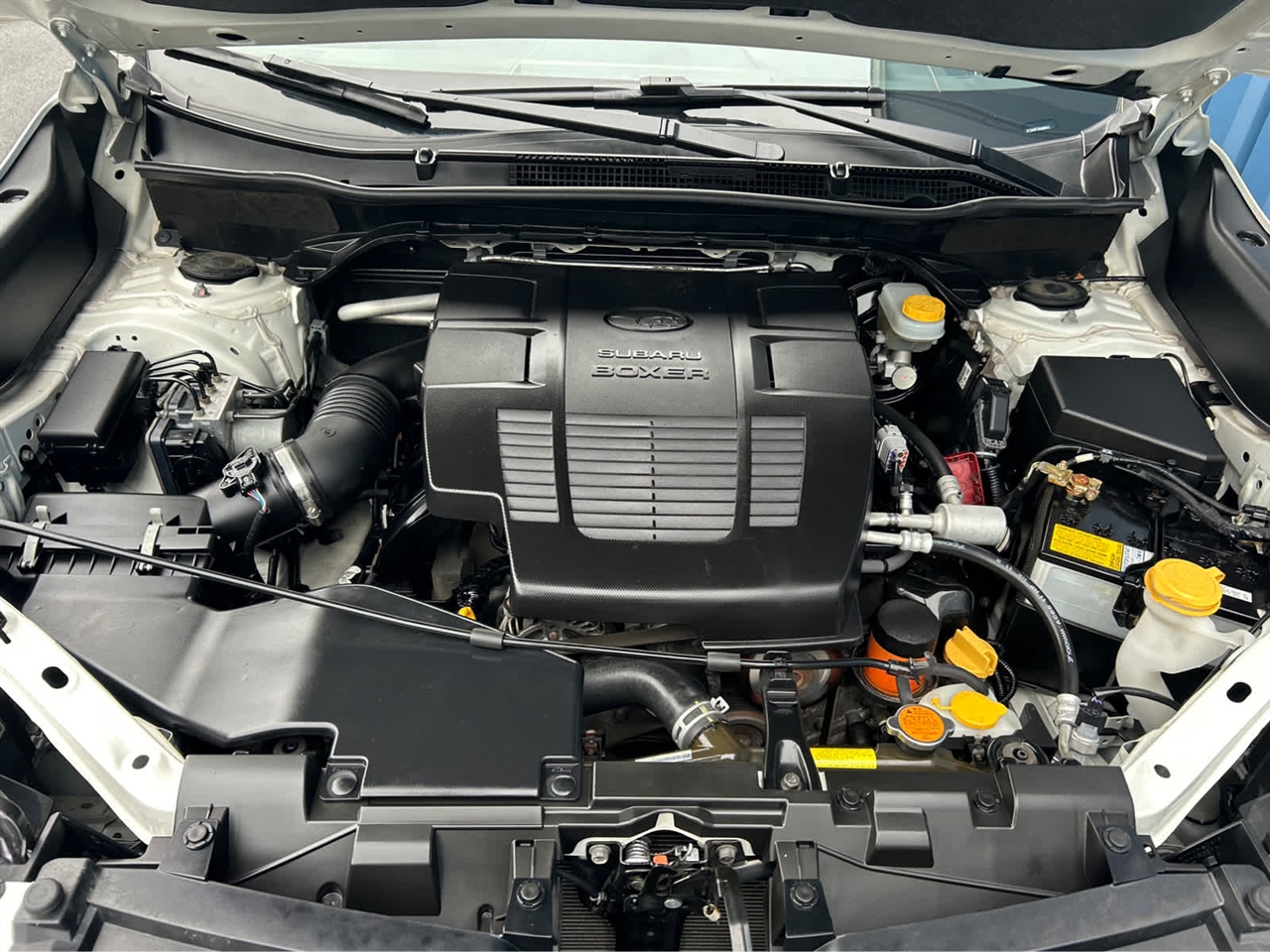 Subaru Forester Sport 2019 Subaru Forester Sport 2019
