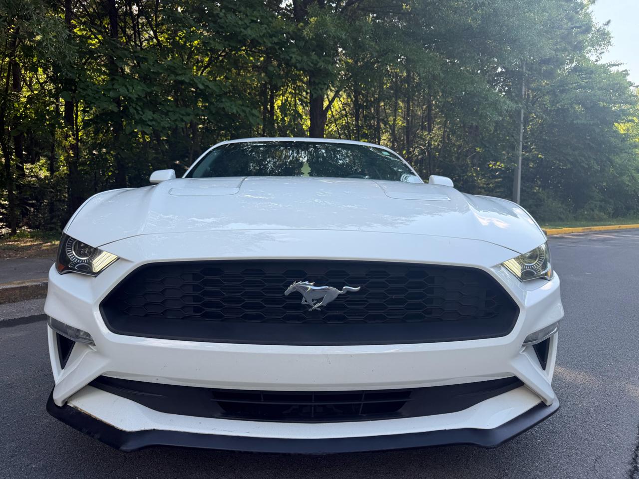 Ford Mustang EcoBoost Coupe 2020