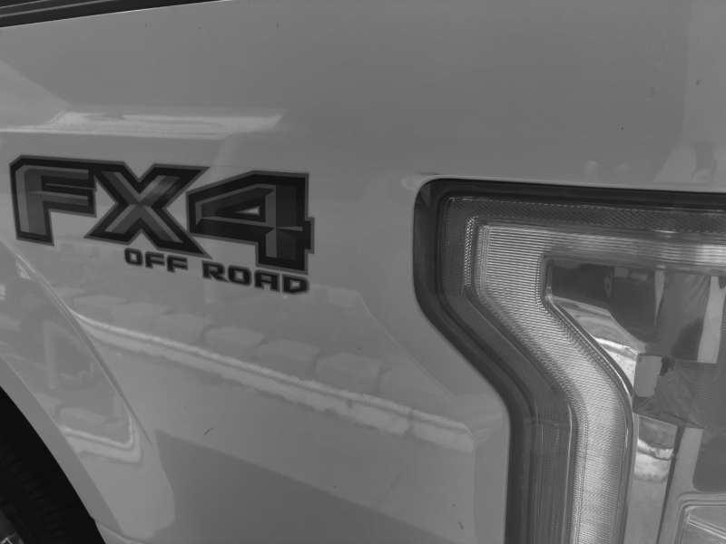 Ford F-150 XL SuperCrew 6.5-ft. Bed 4WD 2017
