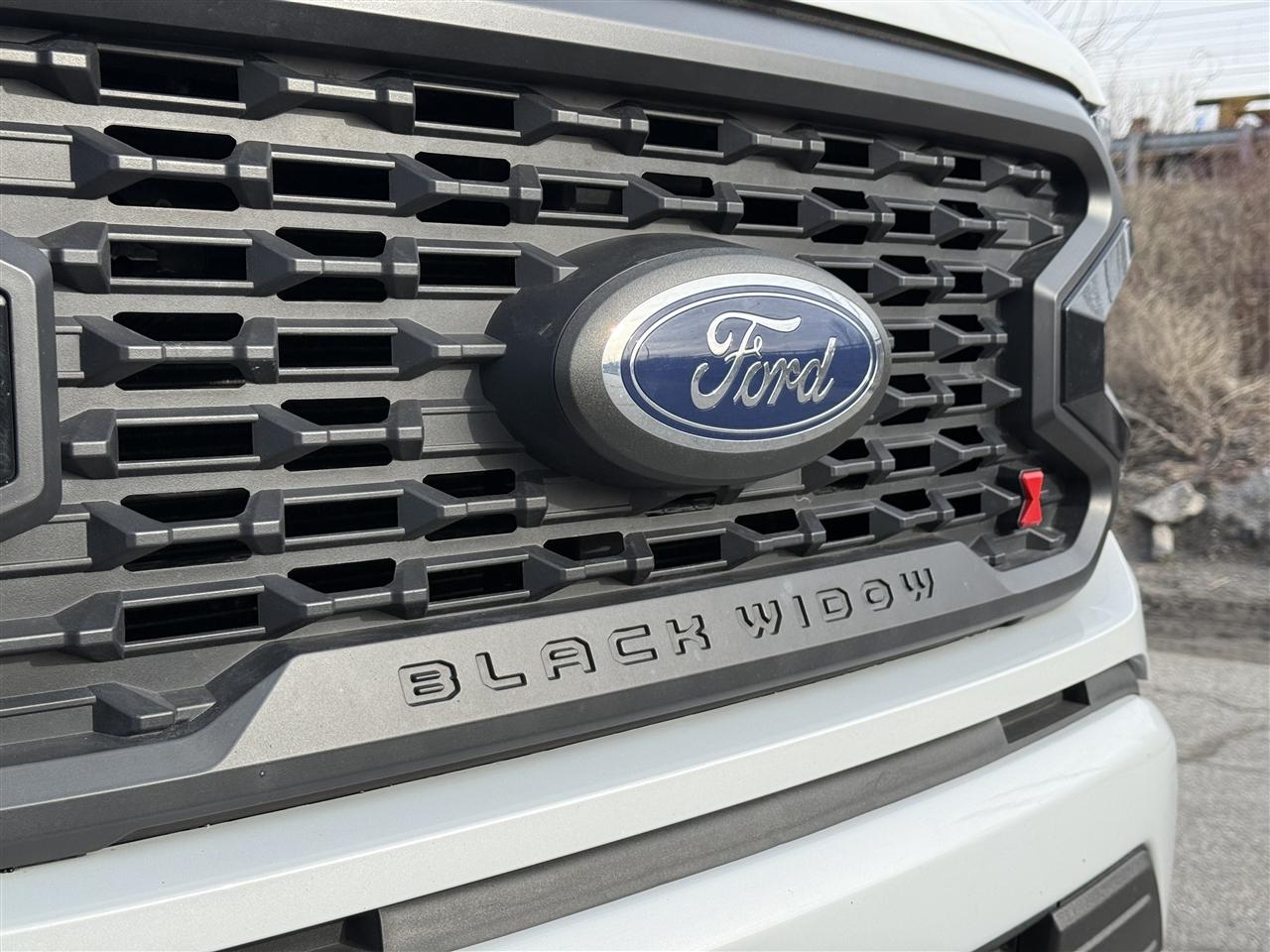 Ford F-150 King Ranch 4WD SuperCrew 5.5' Box 2021