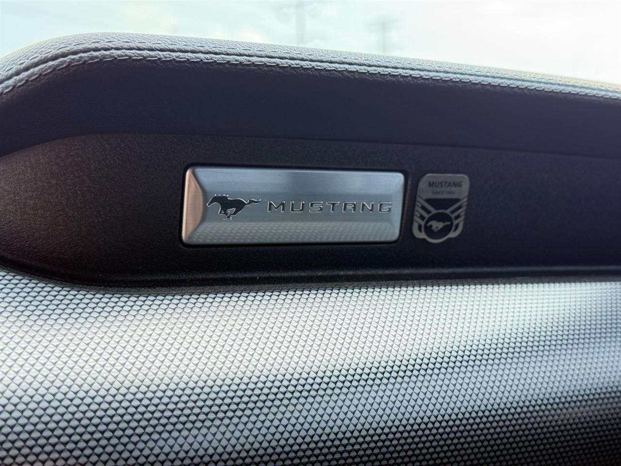 Ford Mustang GT Fastback 2021