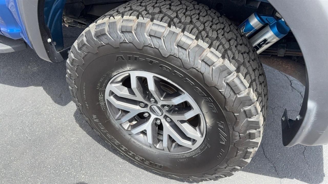 2017 Ford F-150 Raptor - Photo 18