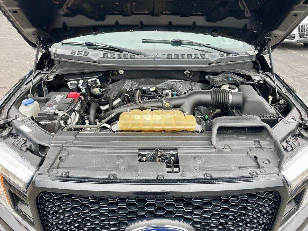 Ford F-150 XL SuperCrew 5.5-ft. Bed 4WD 2019