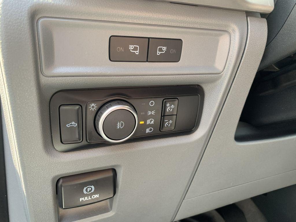 Ford F-150 XL SuperCrew 6.5-ft. Bed 4WD 2022