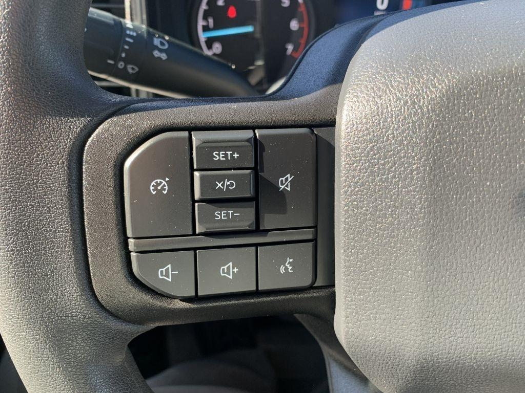 Ford F-250 SD Platinum Crew Cab 4WD 2025