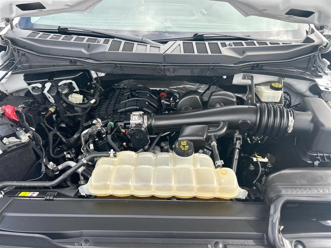 Ford F-150 XLT 2WD Reg Cab 8' Box 2021