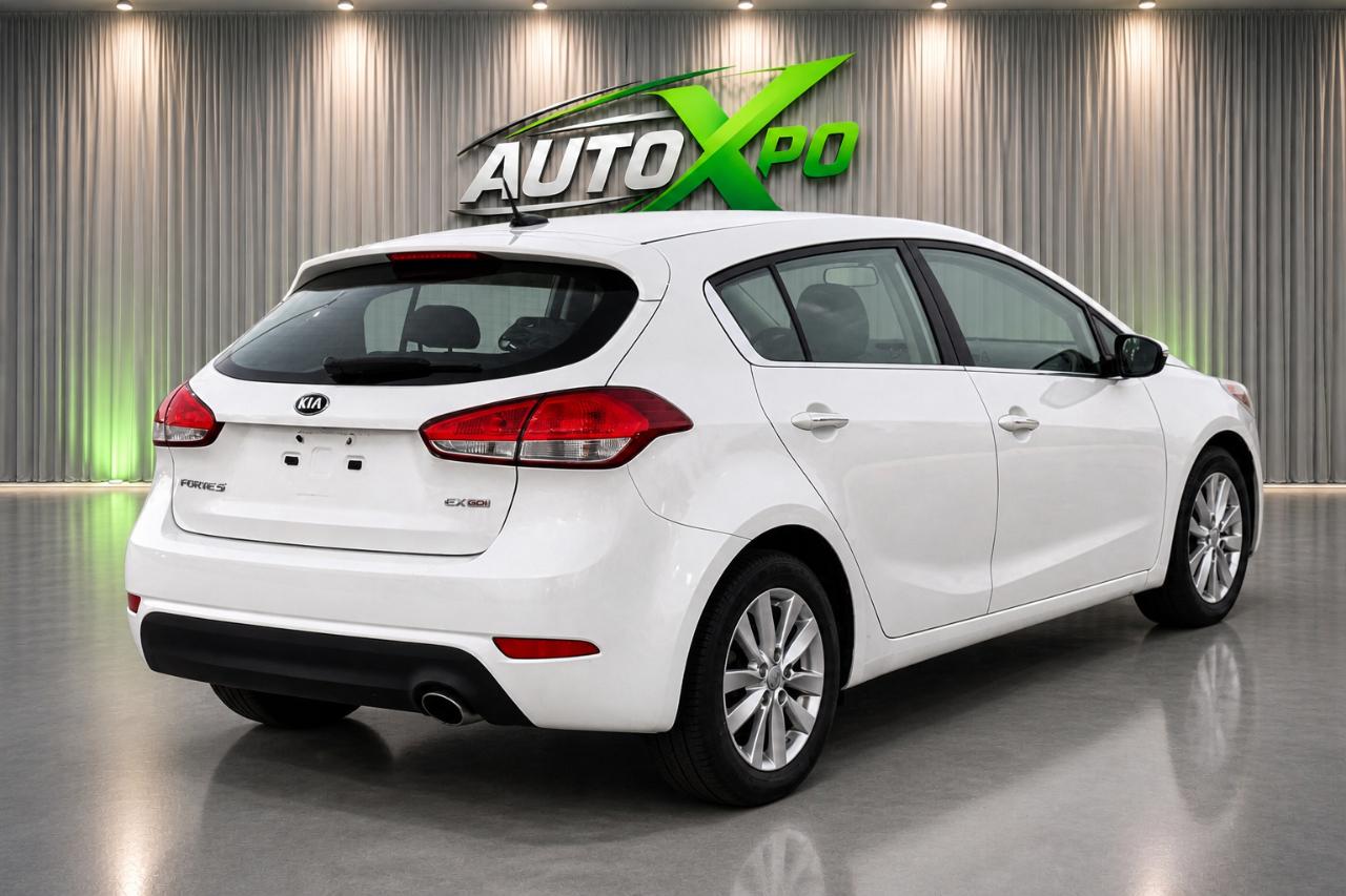 Kia Forte 5-Door EX 2015