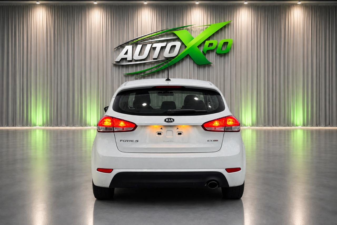 Kia Forte 5-Door EX 2015