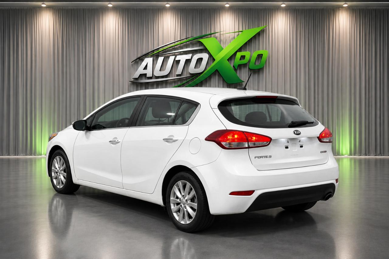 Kia Forte 5-Door EX 2015