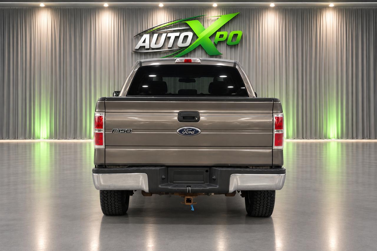 Ford F-150 Lariat SuperCrew 6.5-ft. Bed 4WD 2010