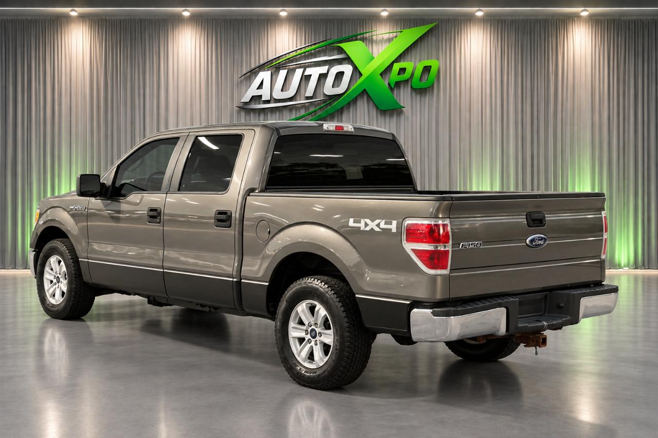 Ford F-150 Lariat SuperCrew 6.5-ft. Bed 4WD 2010
