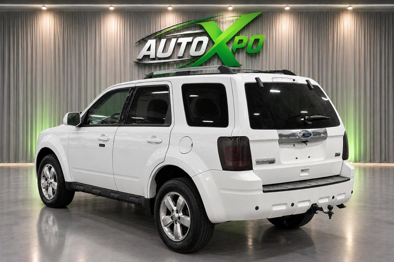 Ford Escape Limited 4WD 2010