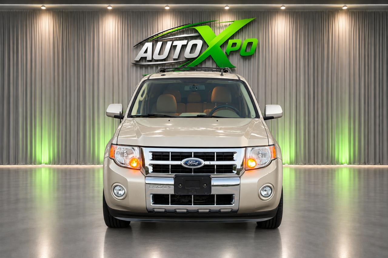 Ford Escape Limited FWD 2010