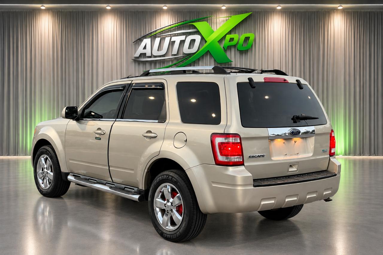 Ford Escape Limited FWD 2010