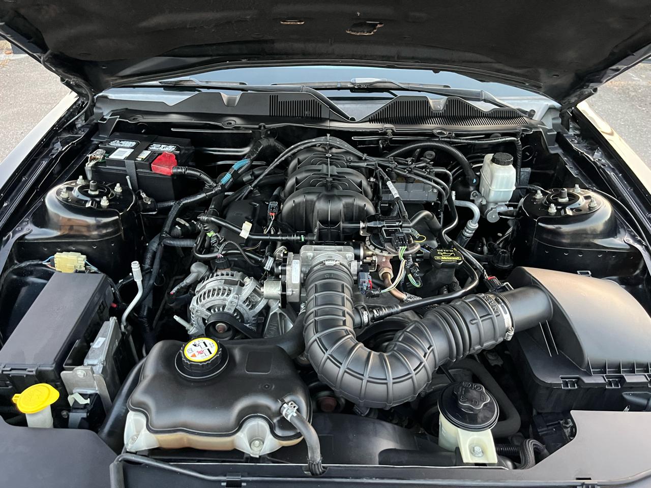 Ford Mustang V6 Convertible 2010