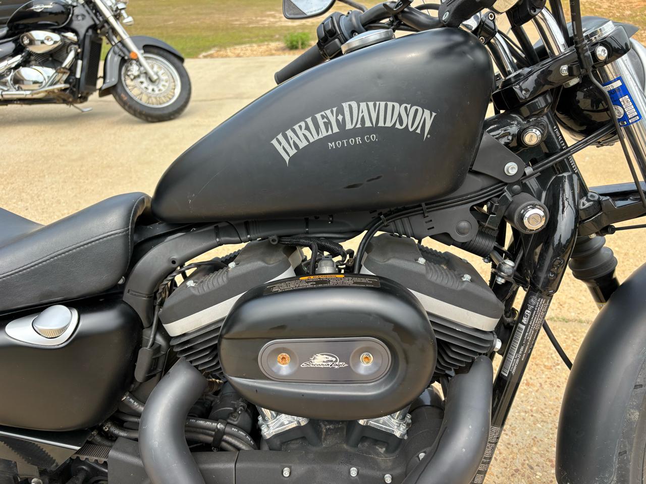 Harley-Davidson XL883N  2013