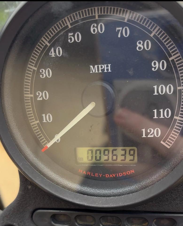 Harley-Davidson XL883N  2013