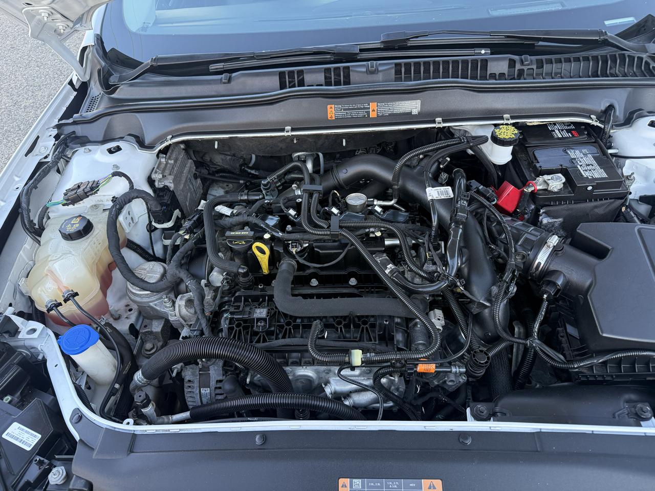 Ford Fusion SEL 2019