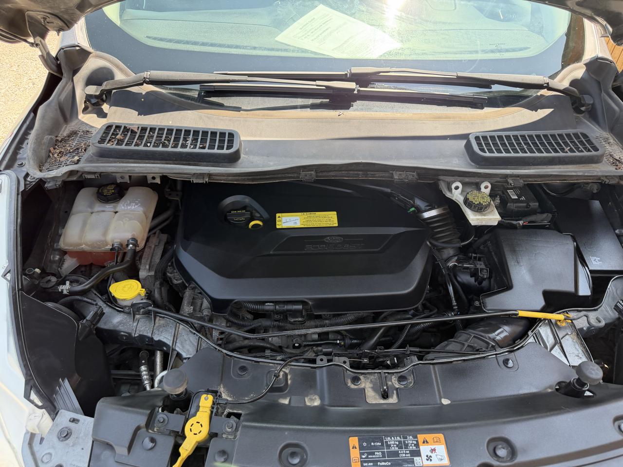 Ford Escape SE FWD 2013