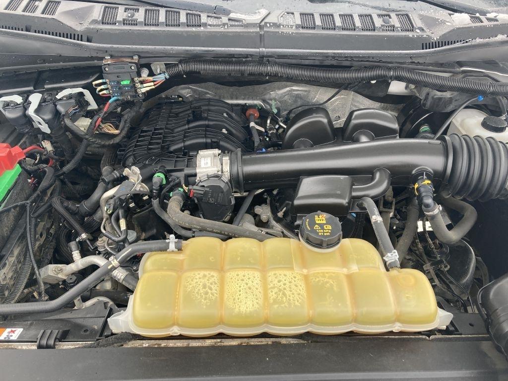 Ford F-150 XL SuperCab 8-ft. Bed 4WD 2020