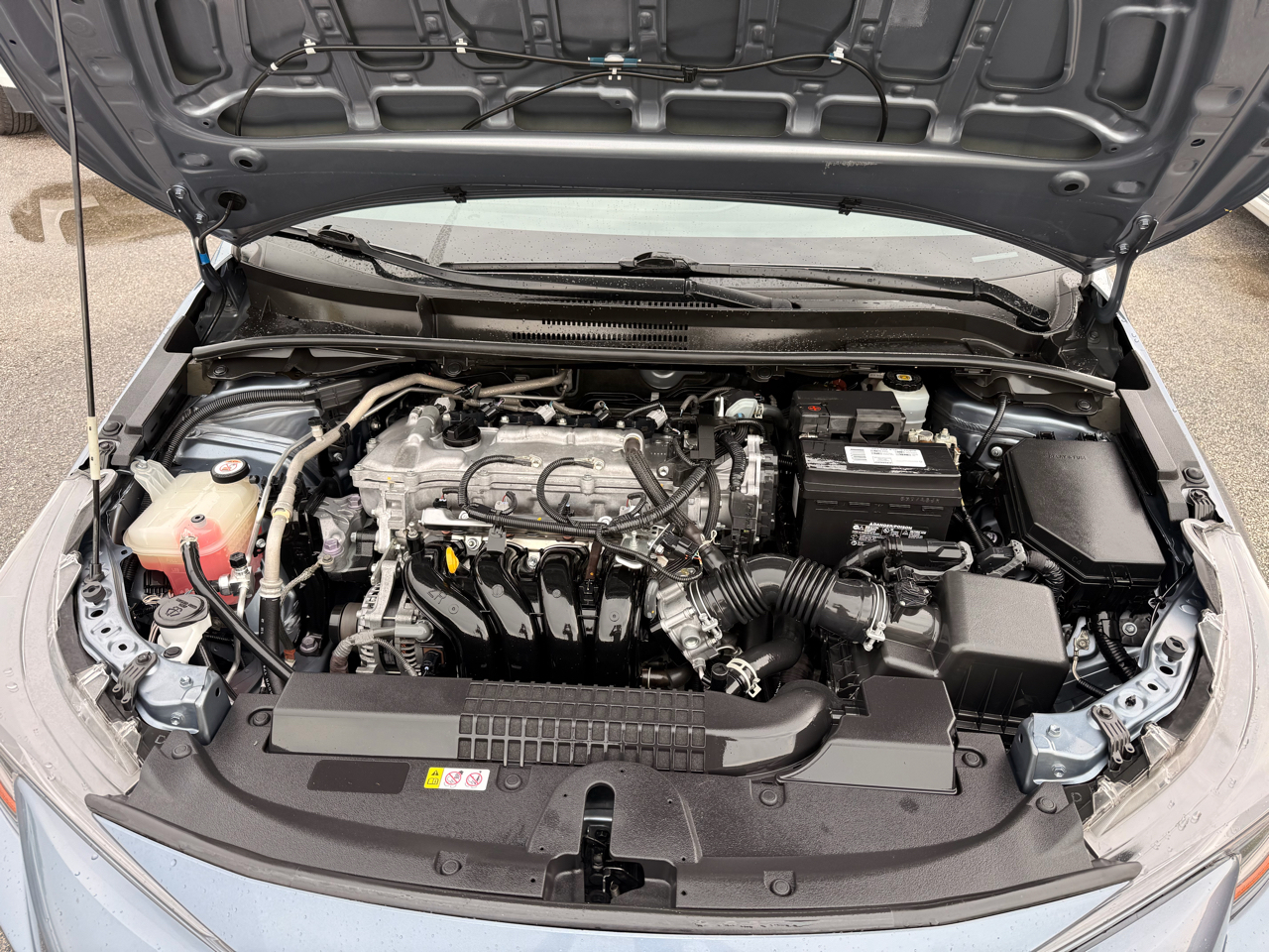 Toyota Corolla LE CVT (Natl) 2022