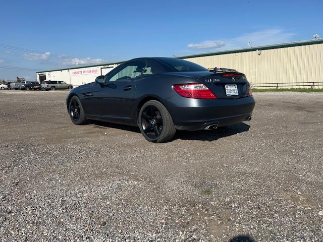 Mercedes-Benz SLK SLK250 2012