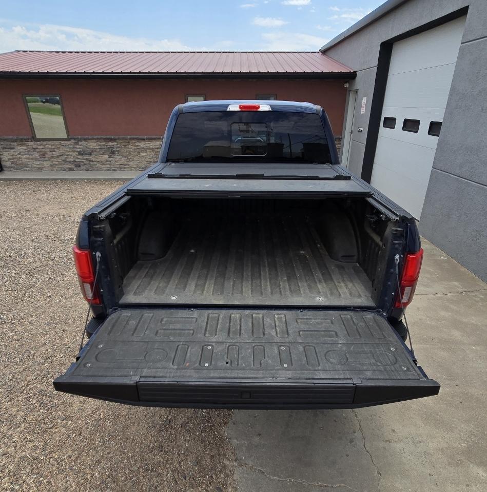 Ford F-150 Platinum SuperCrew 5.5-ft. Bed 4WD 2019