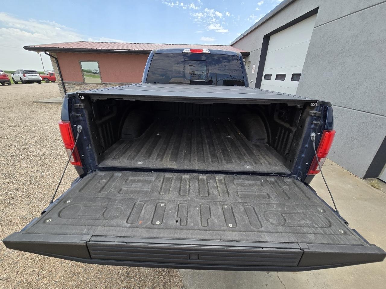 Ford F-150 Platinum SuperCrew 5.5-ft. Bed 4WD 2019