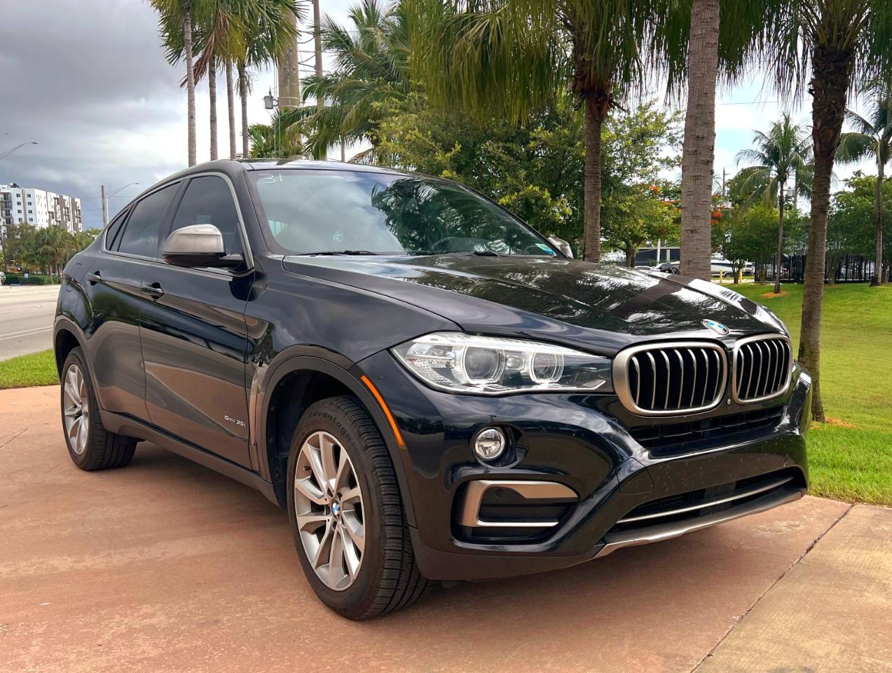 BMW X6 sDrive35i 2019
