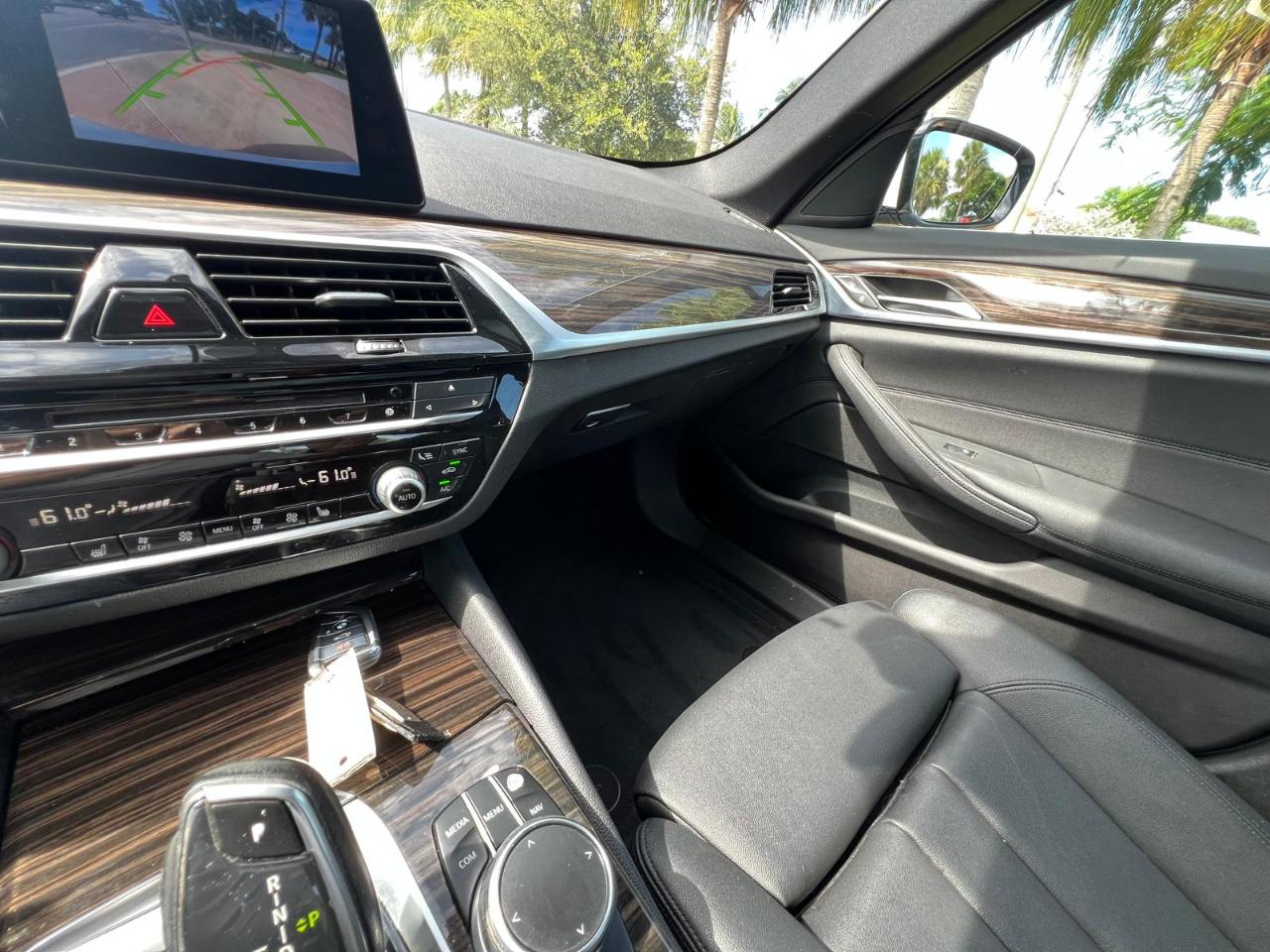 BMW 5-Series 530i xDrive 2017
