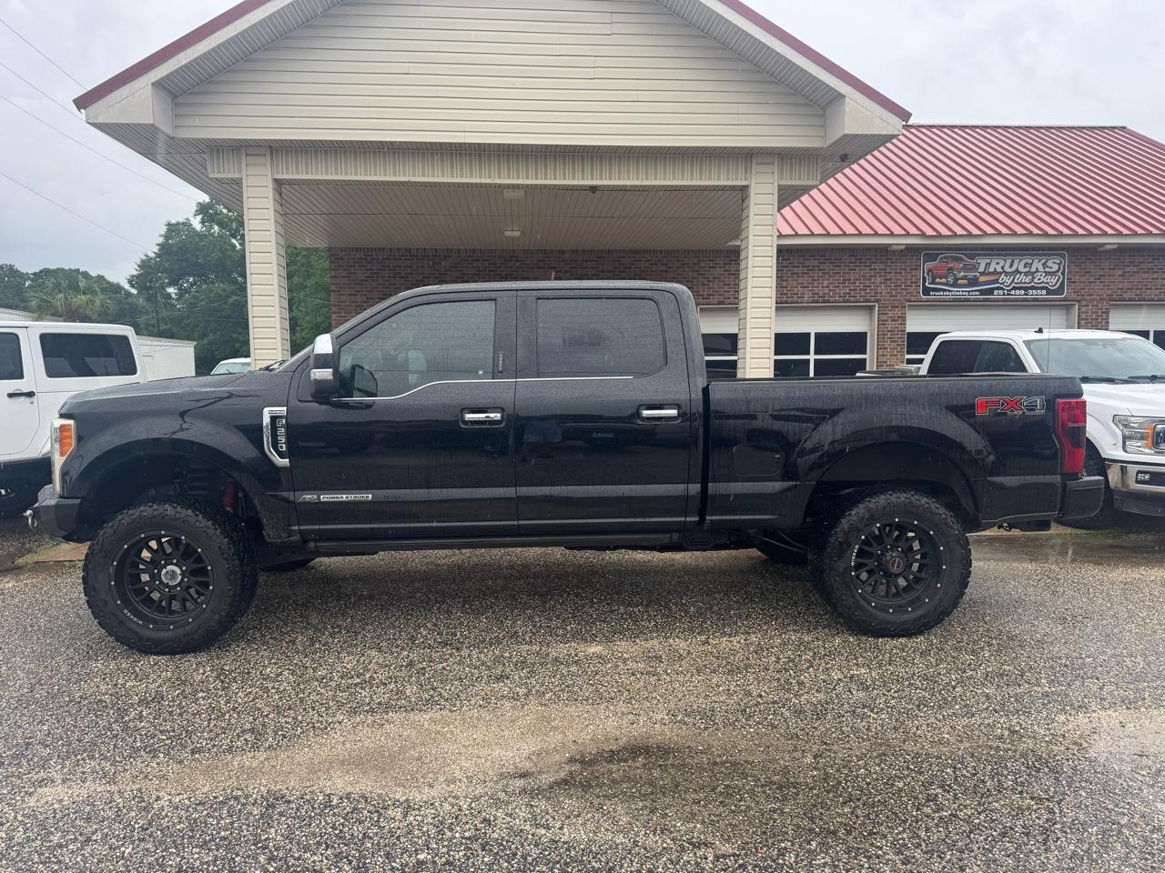 Ford F-250 SD Platinum Crew Cab 4WD 2017