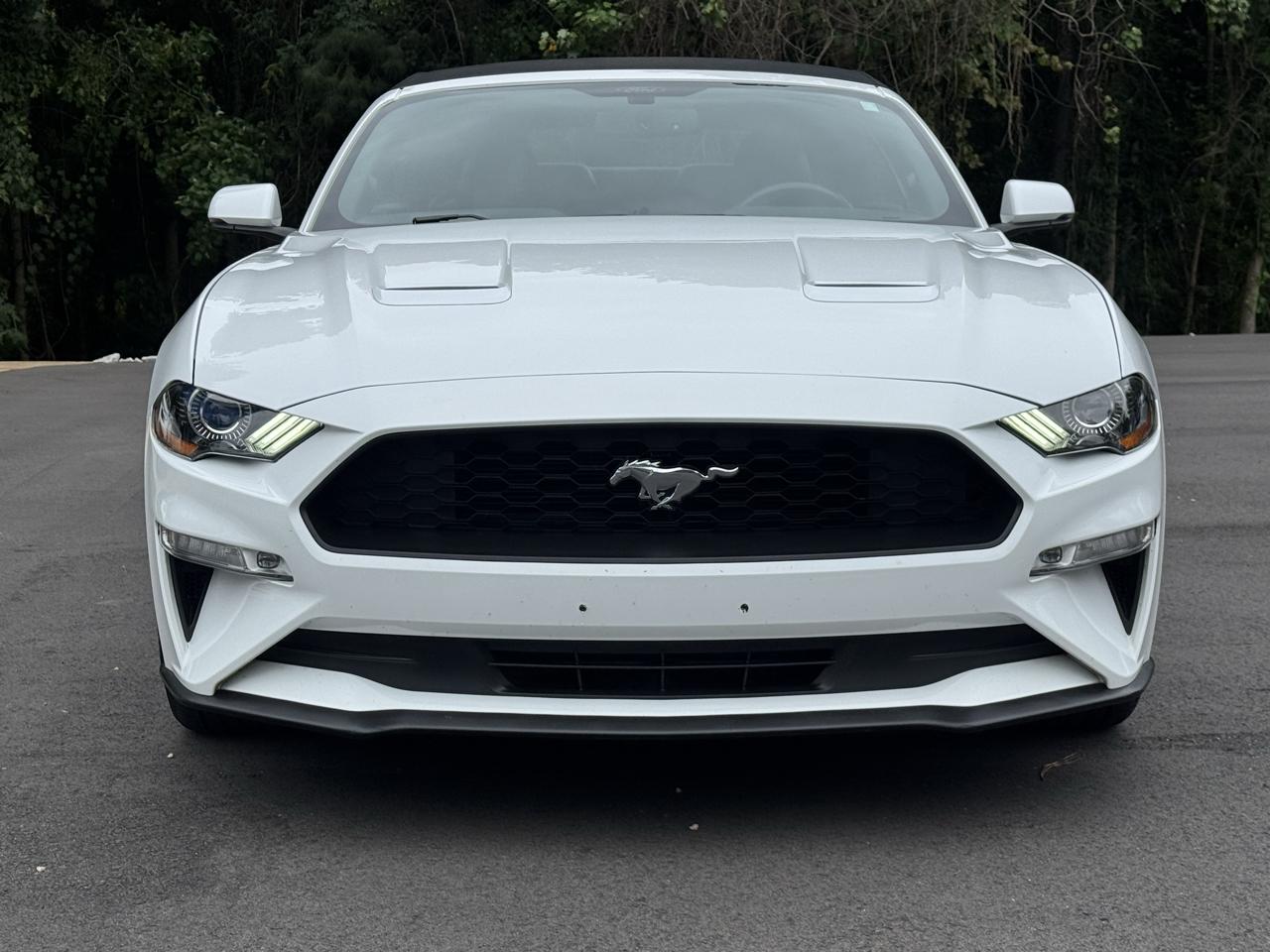 Ford Mustang EcoBoost Premium Convertible 2018