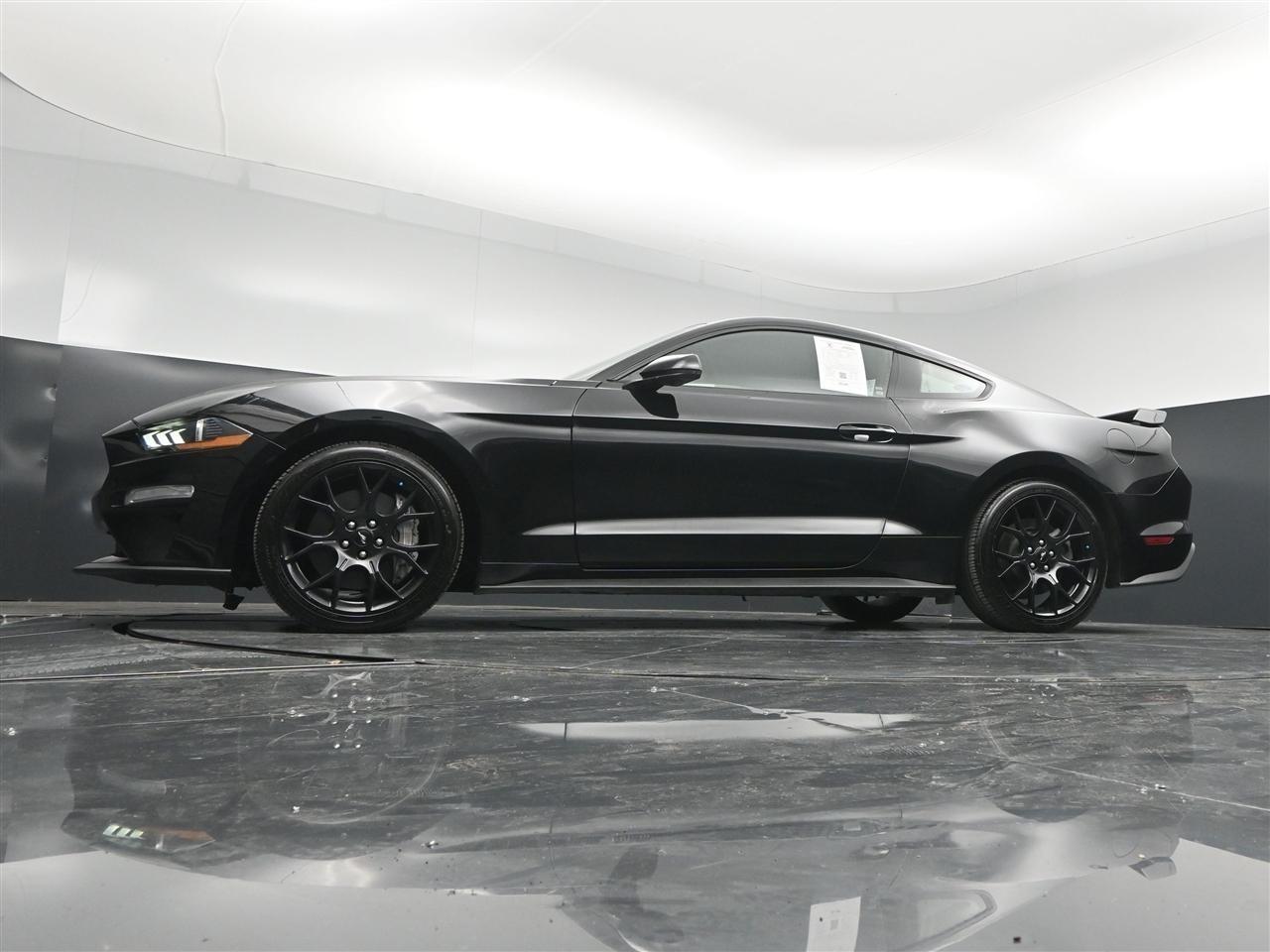 Ford Mustang EcoBoost Premium Coupe 2019