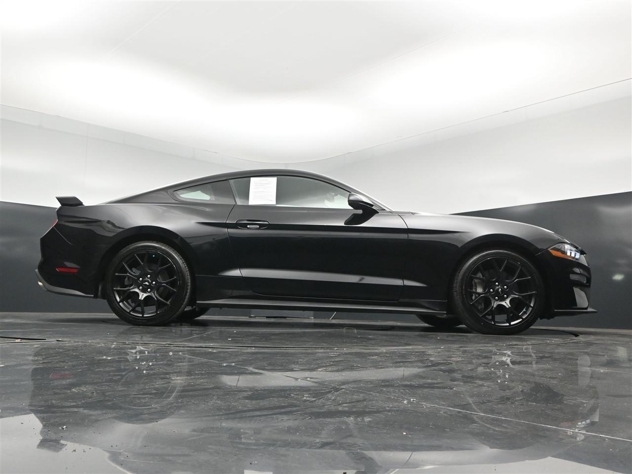 Ford Mustang EcoBoost Premium Coupe 2019
