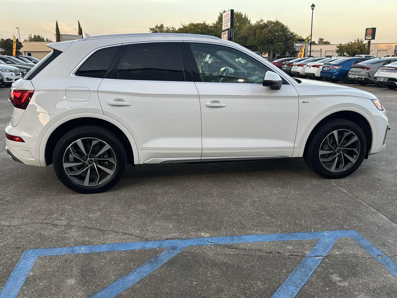 Audi Q5 2.0T Progressiv quattro 2023