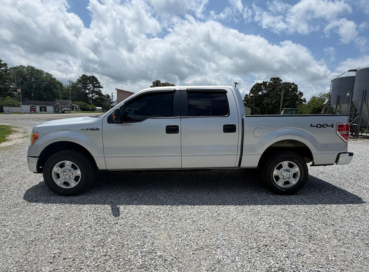 Ford F-150 XLT SuperCrew 6.5-ft. Bed 4WD 2013