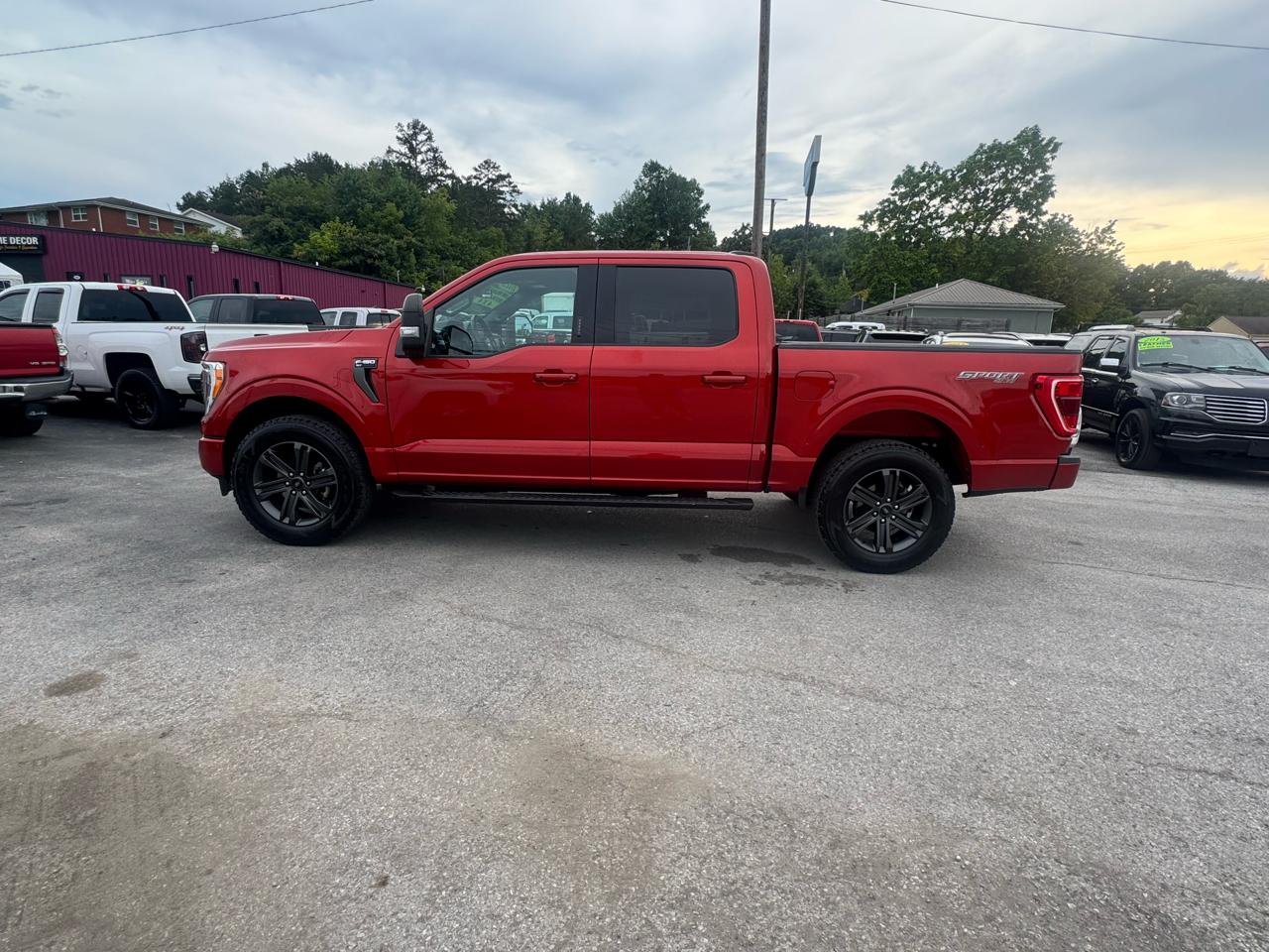 Ford F-150 4WD SuperCrew 139" XLT 2023