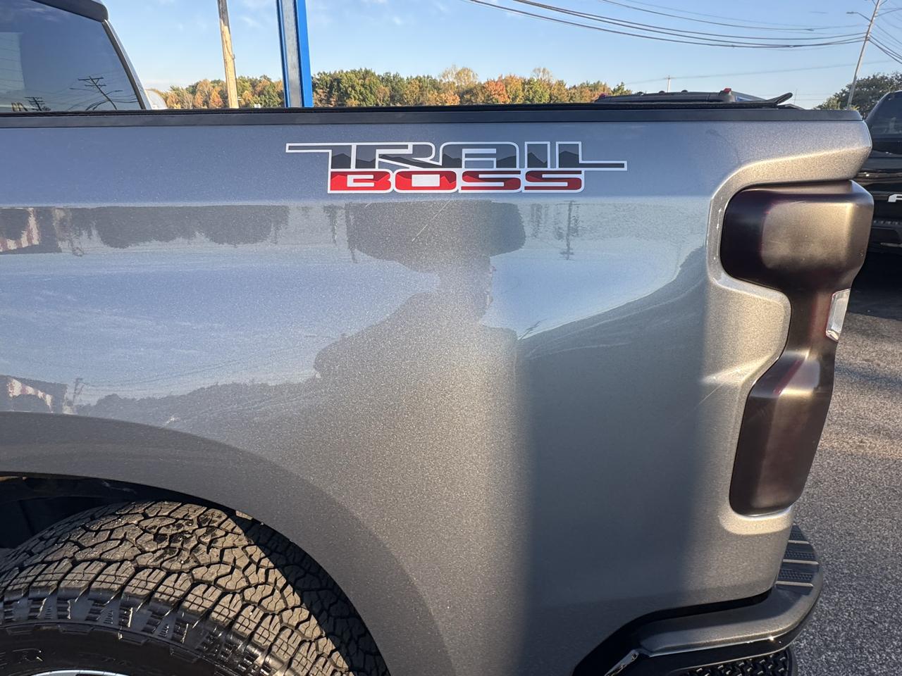 Chevrolet Silverado 1500 4WD Crew Cab 147" Custom Trail Boss 2021