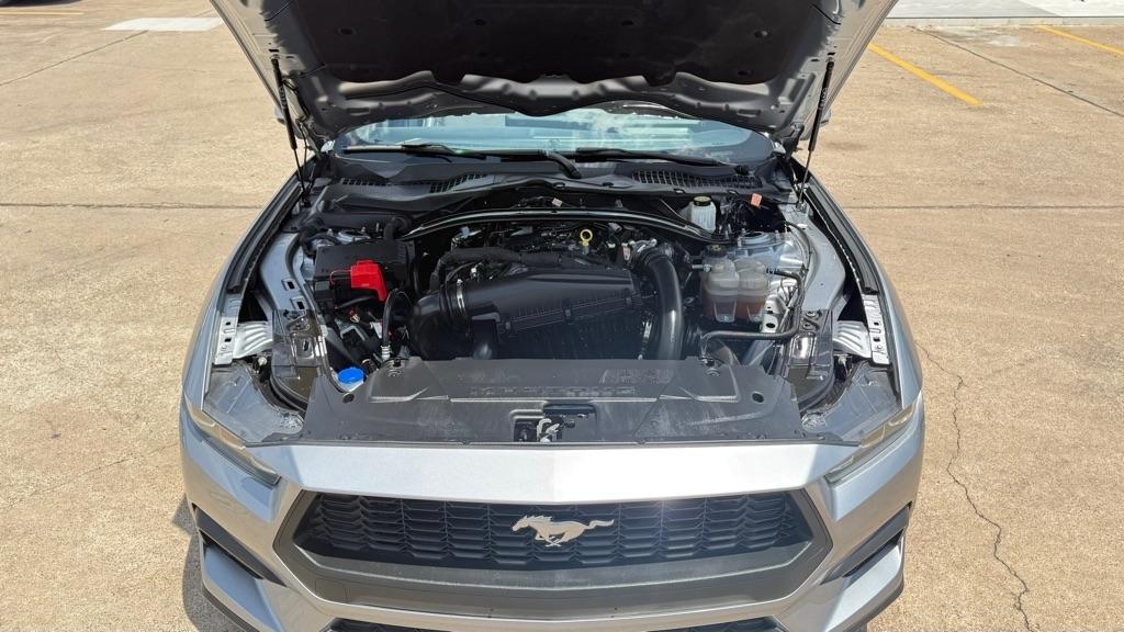 Ford Mustang EcoBoost Premium Convertible 2024