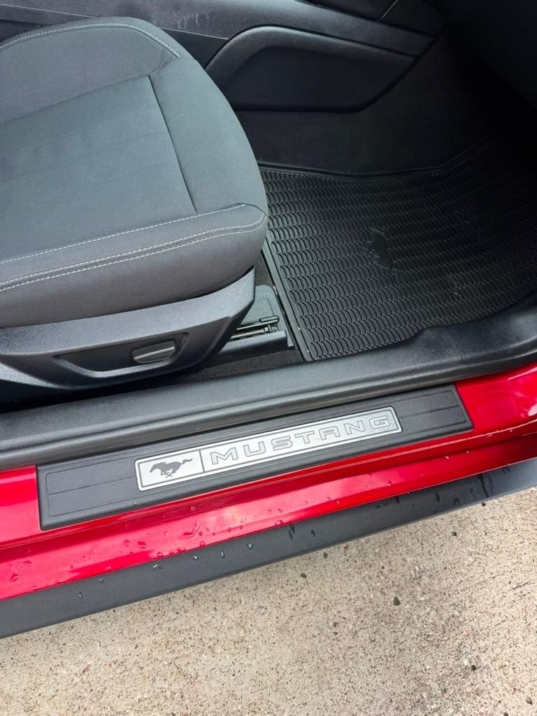 Ford Mustang GT Fastback 2022