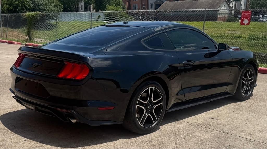 Ford Mustang EcoBoost Fastback 2019