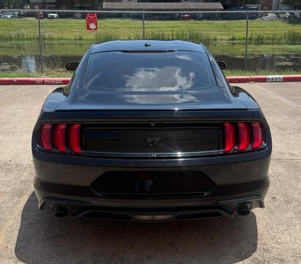 Ford Mustang EcoBoost Fastback 2019