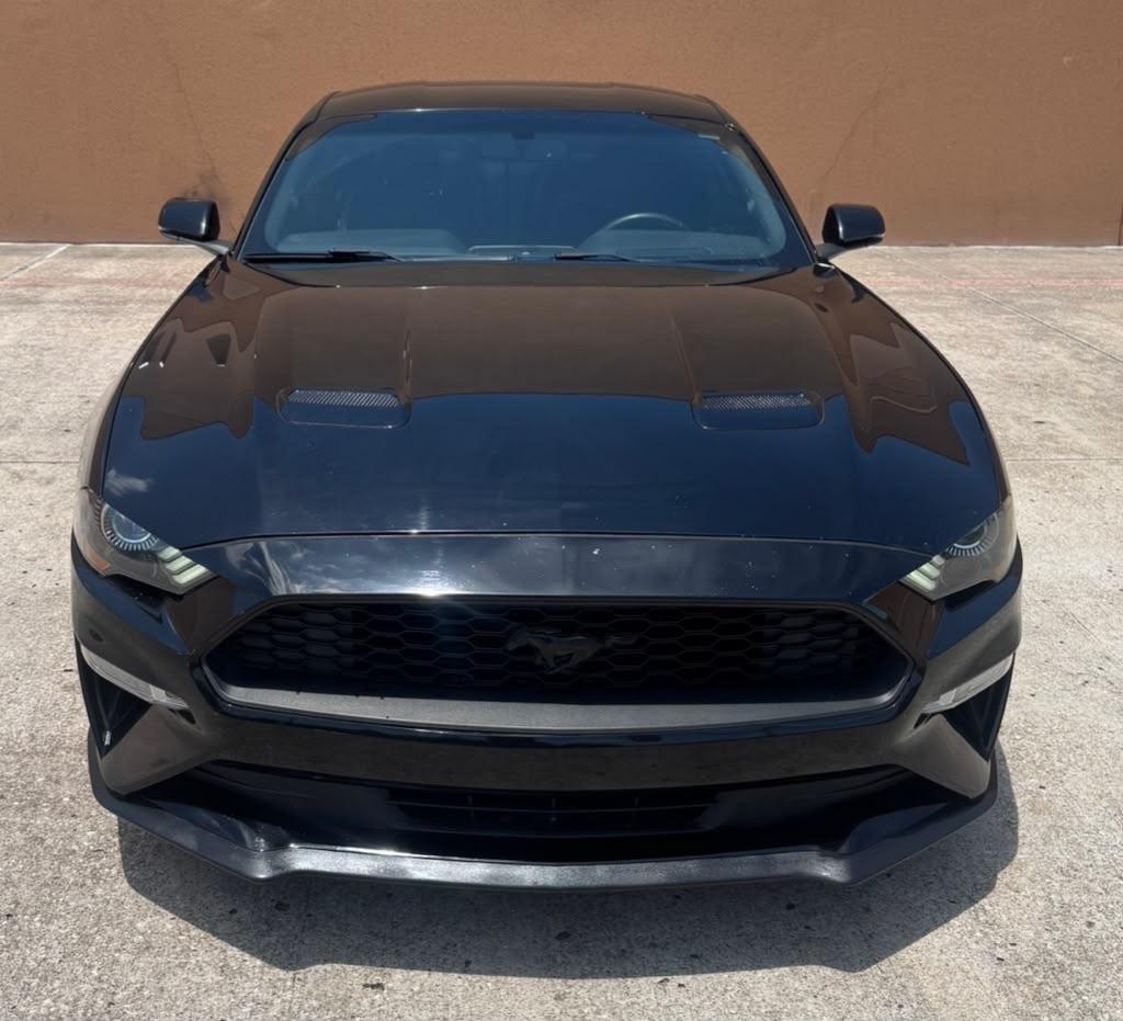 Ford Mustang EcoBoost Fastback 2019