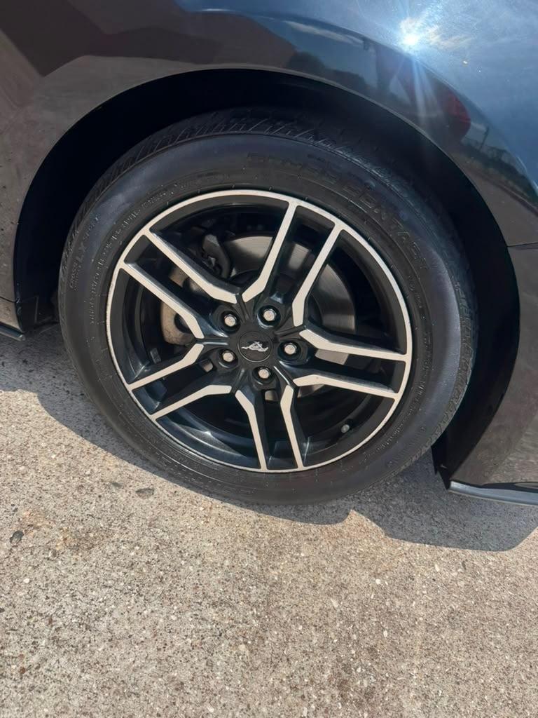 Ford Mustang EcoBoost Fastback 2019