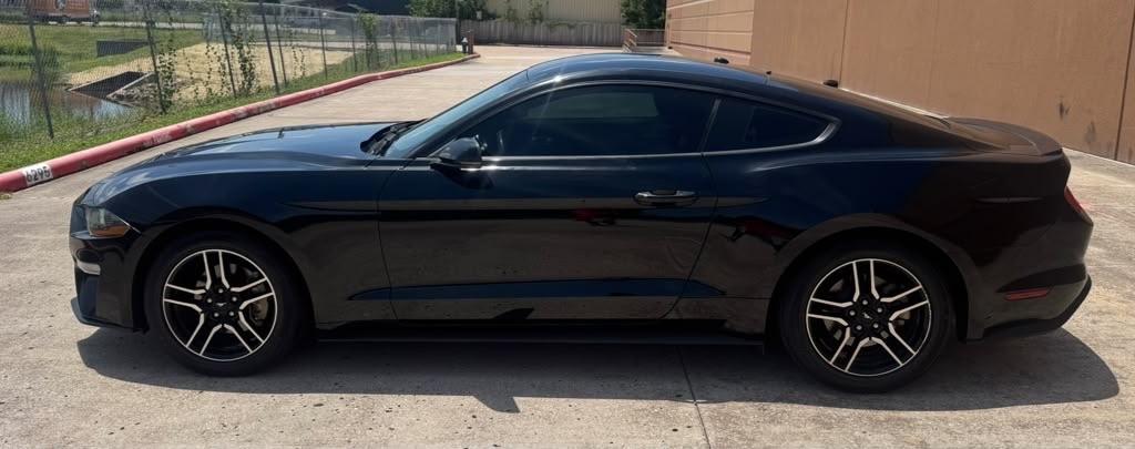 Ford Mustang EcoBoost Fastback 2019