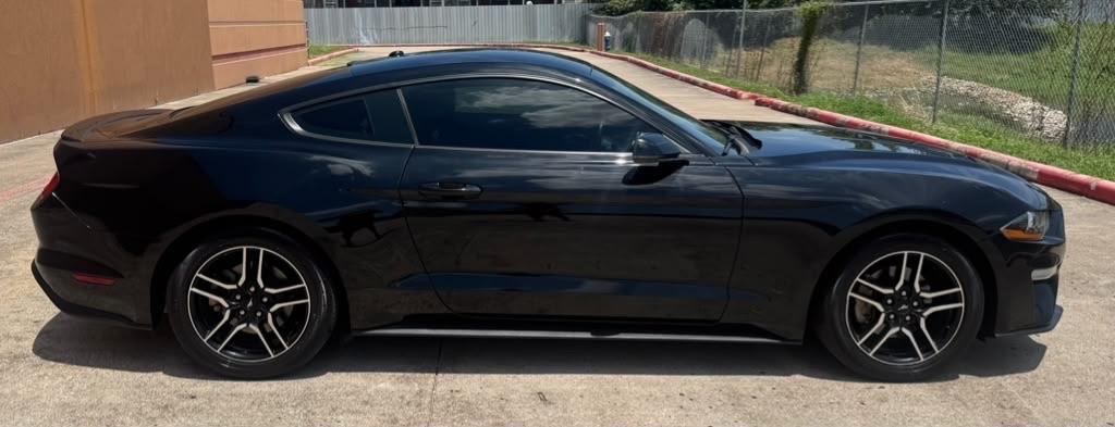 Ford Mustang EcoBoost Fastback 2019